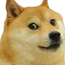 Doge Army's icon