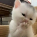 ❈★  🎀  𝓓𝓮𝓫𝓼 𝓑𝓮𝓫𝓼  🎀  ★❈