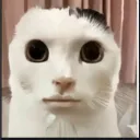 叶枫的服务器