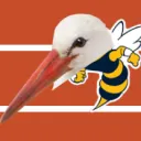 Fantasy Stork League @ GT