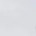 ( ´ ▽ ` ).｡ｏ♡'s icon