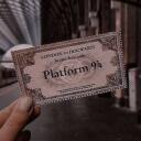 PLATFORM 9 3/4 —• DSMP AU Discord Server Icon