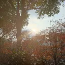 小学一年级同学
