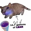 lean server
