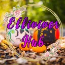 Ellivivor Hub