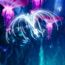 𑣲 Solace of Eywa ⋆˚꩜｡