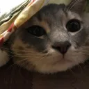 Сервер Сейлз