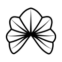 Alchemilla