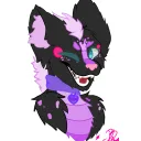 CozyPaws