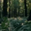 CABESWATER Discord Server Icon