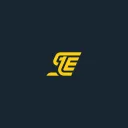 STE's server