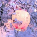 ★ ﹒ Destiny Of Japan! ; #300