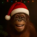 macacada 🐒🎄 Discord server icon