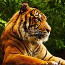 ﹕˚₊🦁・𝑨𝒏𝒊𝒎𝒂𝒍 𝑾𝒐𝒓𝒍𝒅・🦁₊˚﹕Antigo