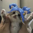 hqneyroo's hangout