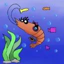 Shrimp friends
