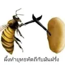 เล่นrovแบบปล่อยจอย