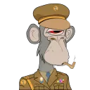 DOKOLET