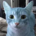 lost house Discord Server Icon