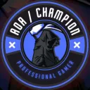 AOA|Champion DC server
