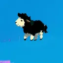 Ronny Discord