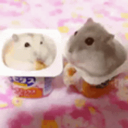 Discovery icon for hole Discord server