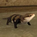 FFXIV RP & Stuff (20+ only)