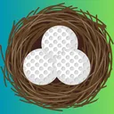 The Nest