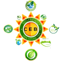 C.E.B Server Icon