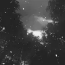 Cozy Cabin™ discord icon