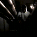 .. TREES SHOULDN'T WALK !! 《CRP RP》 Discord server icon