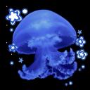    🪼   Glaxze᯽Q u a r terz   🪼    Discord Server Icon