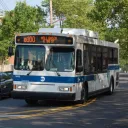 ZTF Server Nostolgia Buses
