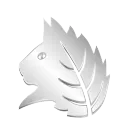 Silverleaf