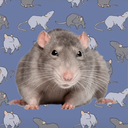 Rat Gang | Home Of The Rats Discord Server