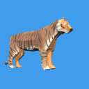 Applied Games - Tigers