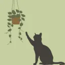 the cat garden