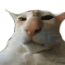 Gaming (Discord Edition)