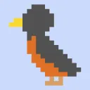 Robin Development