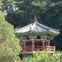 NETs in Korea