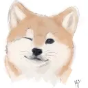 Doge's Hub