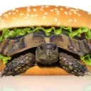 Cimpiu's burger