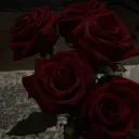 🥀 bellrose high *ೃ༄
