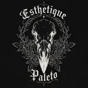 Esthétique Paleto | FlashFA