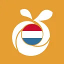 Royal Oranjetaxi