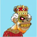 Wisdom Ape Yacht Club