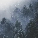 The Cozy Cave Discord Server Icon