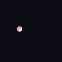 sky’s degen corner