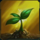 サモリフ　入門者