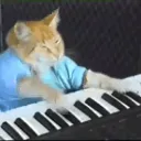 Insanity.